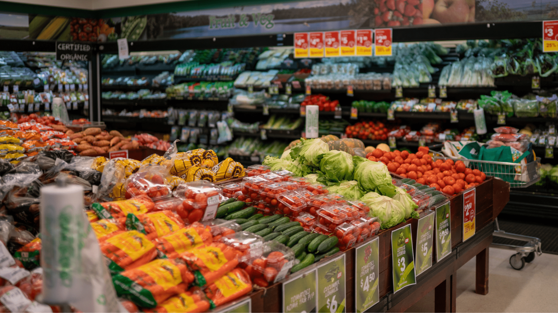 Piccones IGA Edmonton